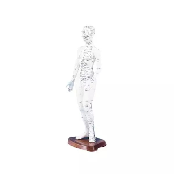 Figurína na akupunktúru