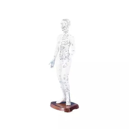 Figurína na akupunktúru